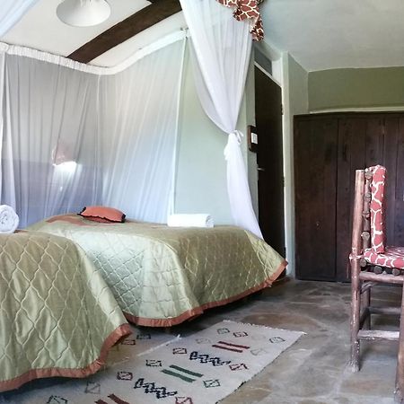 Osoita Lodge Nairobi Rum bild