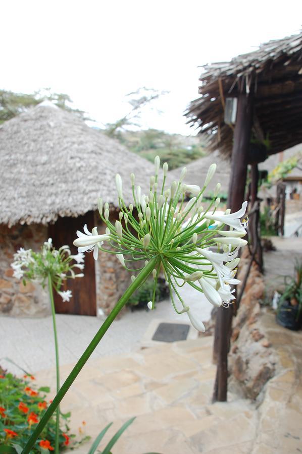 Osoita Lodge Nairobi Exteriör bild