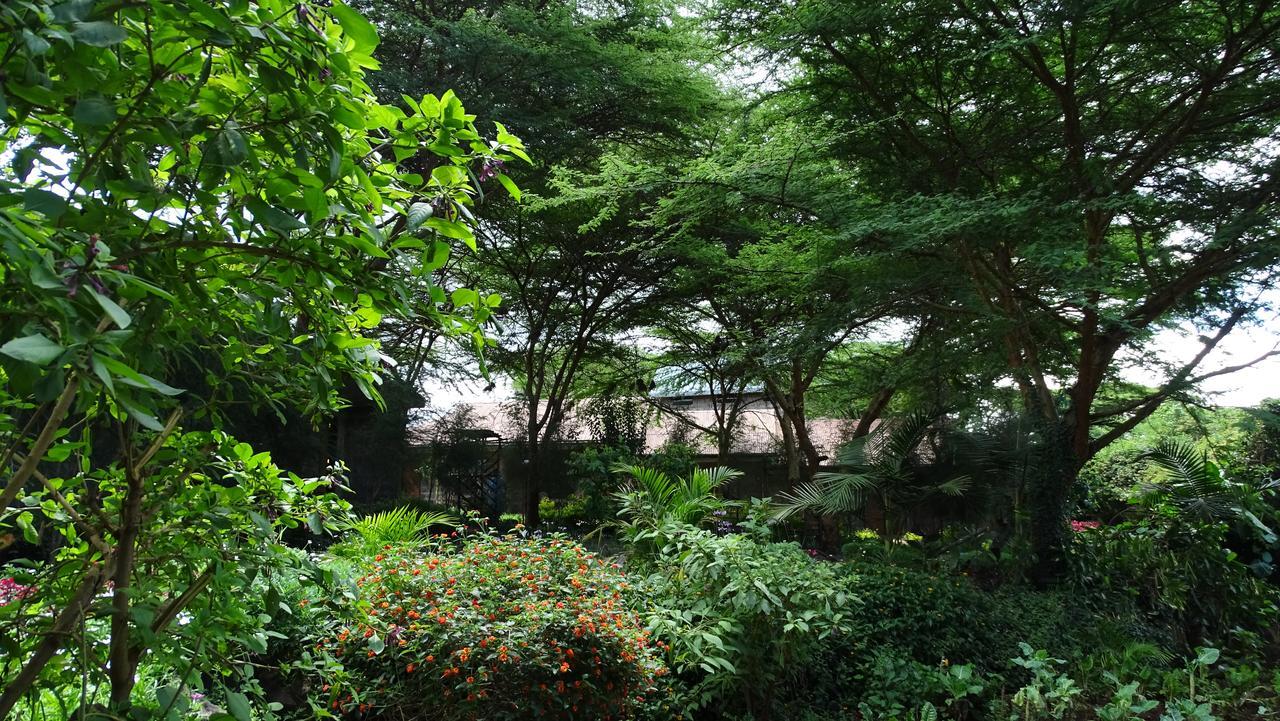 Osoita Lodge Nairobi Exteriör bild